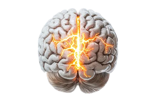 Brain Yoga – Targeted Exercises for Memory, Focus, and Cognitive Health